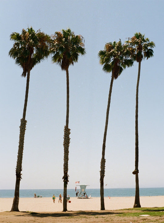 Montecito - September 2026