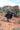 EXPLORE Parachutes